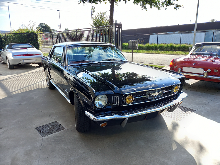Mustang 289